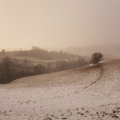 Bieszczad - cover